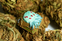 Red Eyed, Green Thumb