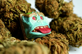 Red Eyed, Green Thumb