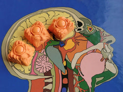 Citrus Mass